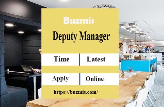 Latest Deputy Manager IT Jobs 2023