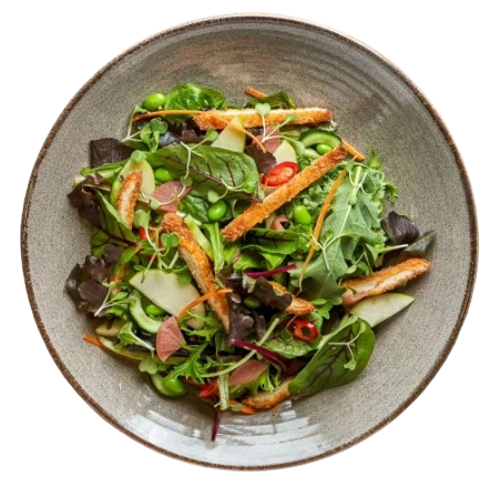 Wagamama Chicken Katsu Salad	