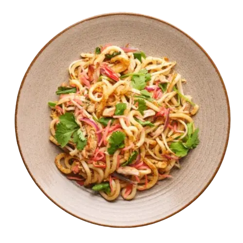 wagamama Ginger Chicken Udon