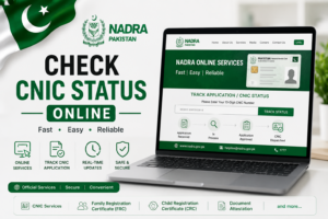 NADRA CNIC status check online through official website Pakistan